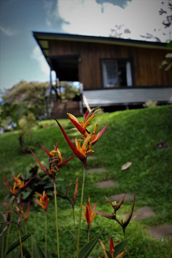 The Lodge At Reventazon River Mountain Ranch Τουριάλμπα Εξωτερικό φωτογραφία